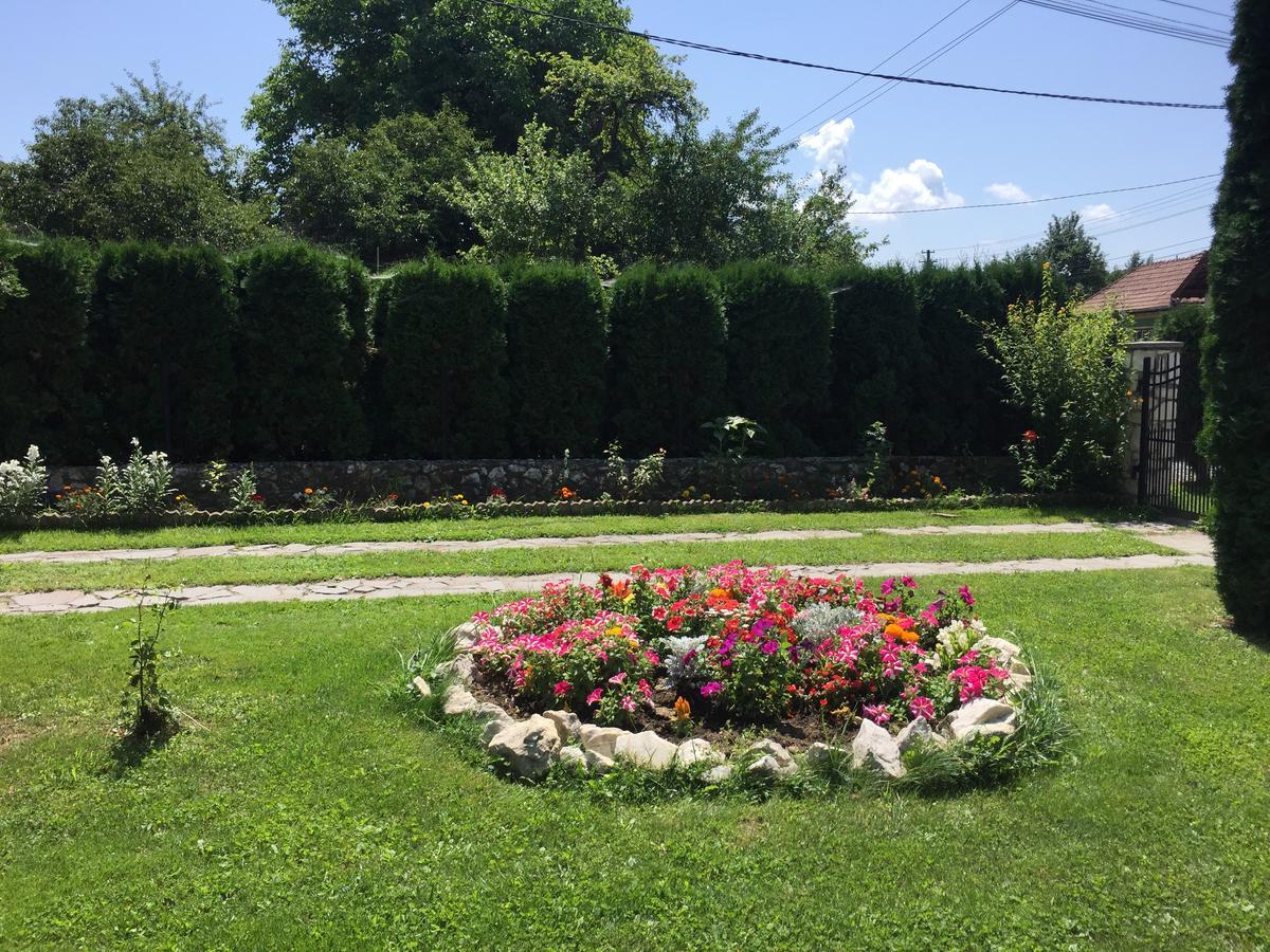 Hanga Apartments Sovata Exterior photo